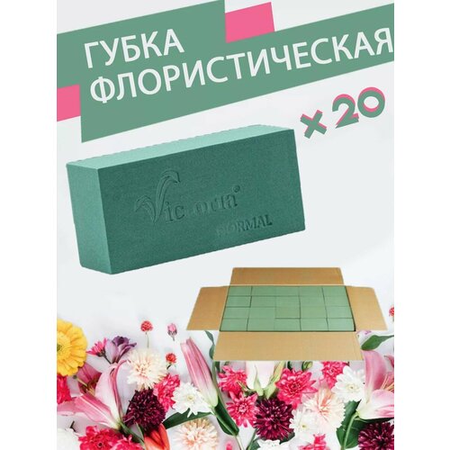 ���� ����� �������������� (������, ����), 23 � 11 � 7,5 ��, 20 ����, ������ �� 3109 ���