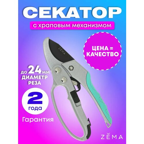 ���� ���������������� ������� ������� 