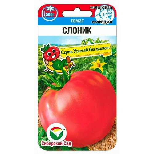 ���� ����� ������, ������ �� 209 ���