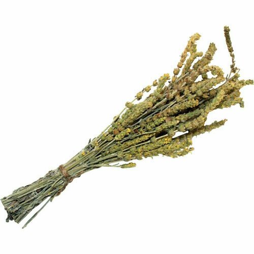 ���� ����� �������� ��� ���� � ����� ���� ����� 