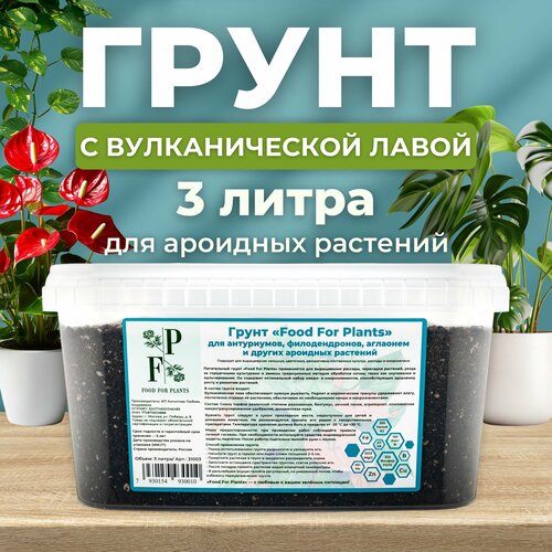 ���� �������� ��� ��������� ��������. ����� ��� ����������, ���������, ������������ � ������ �������� ��������, ������ �� 587 ���