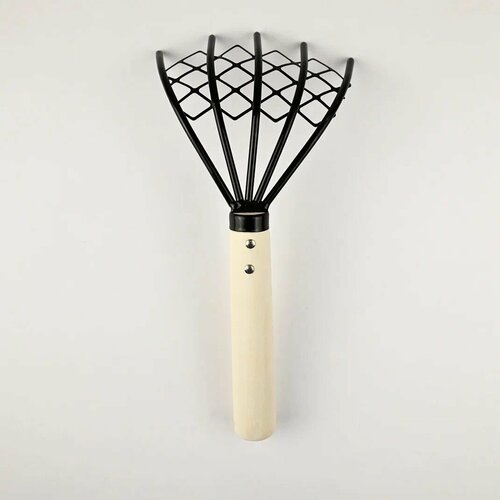 ���� ��������� ������� / ���� ������ ��� ������� ����� � ������ 26��, ������ �� 649 ���