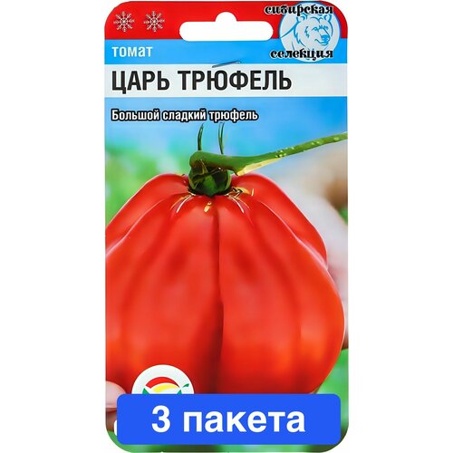 ���� ������ ������ ��������� ��� 