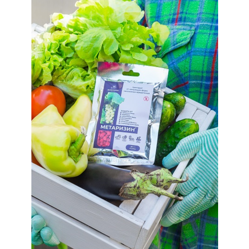 ���� �������� ��������� �� ������� � ��������� ���������� 50 ��, ������ �� 539 ���