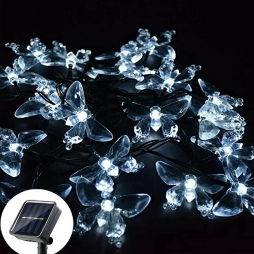 ���� ������������ �������� � ����� ������� ����� �� ��������� ������� 30 ���� 6 ������, ������ �� 790 ���