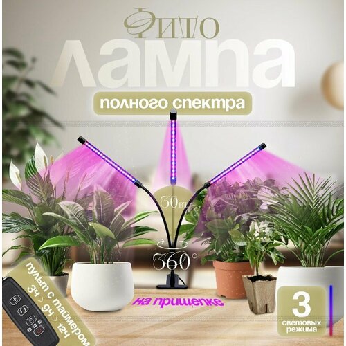      , 3 ,   ,     ,   908 