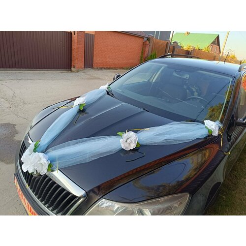 ���� ��������� ����� �� ����� ����������, ������ �� 700 ���