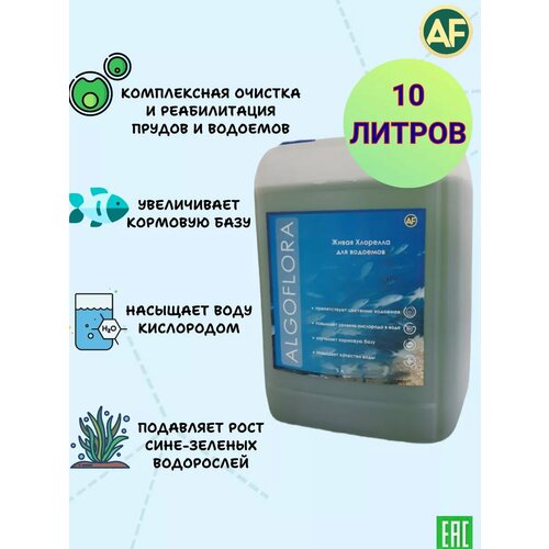 ���� �������� ��� ������� ������ � �������� 10 ������, ������ �� 3700 ���