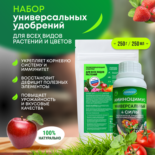 ���� ����� + ���������� ������������� ��������� ��� �������� ����� 250 � + 250 ��, ������ �� 1249 ���