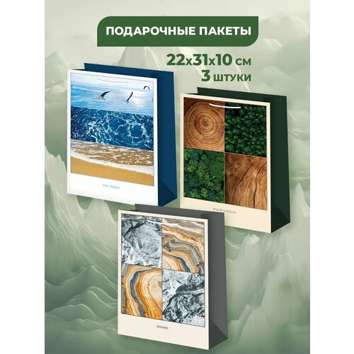 ���� ���������� ����� ��� �������, ����, ���� , ����� 3 �����, ������ 22�31�10 ��, ������ �� 346 ���