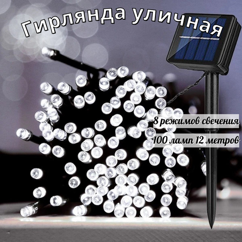 ���� ������������ �������� ������� �� ��������� ������� 100 ���� 12 ������ 8 �������, ������ �� 970 ���