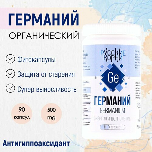 ���� �������� 