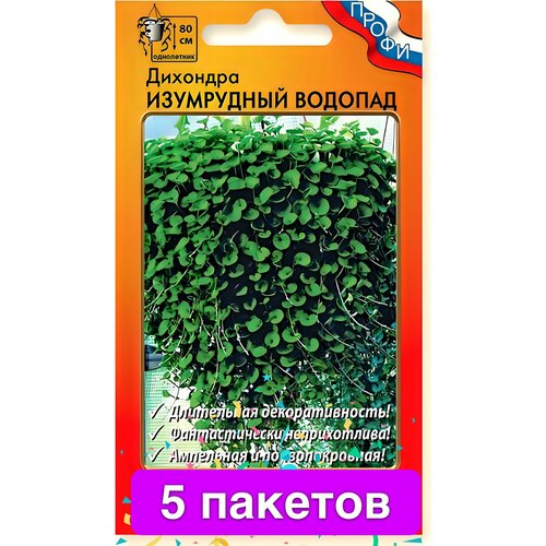 ���� ����� �������� ���������� ������� F1 (10��) 5 �������, ������ �� 1245 ���