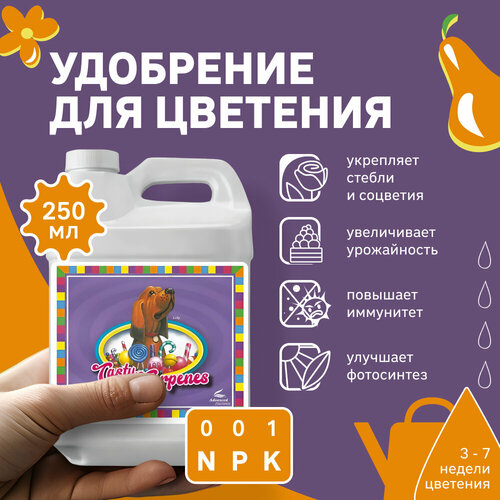 ���� ��������� ��� �����������/ ��������� ����� Advanced Nutrients Tasty Terpenes 250 ��., ������ �� 2025 ���