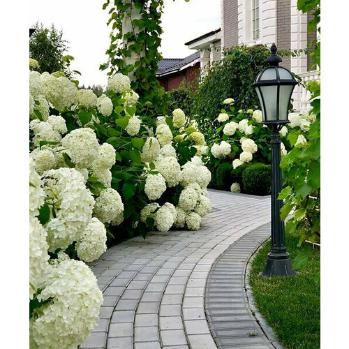 ���� ��������� �������� (�����������), 1 �����, ������ �� 879 ���