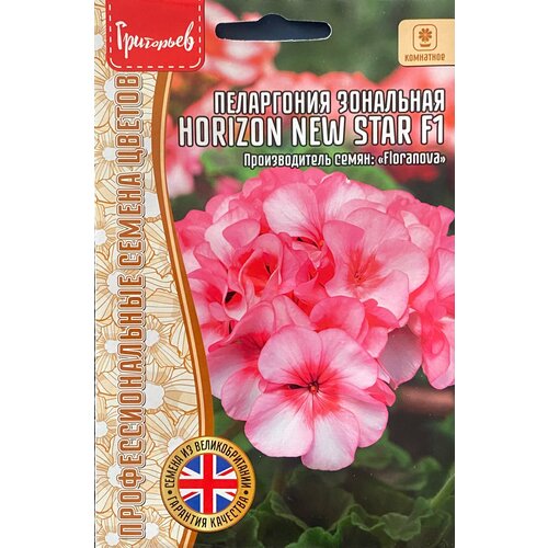     Horizon New Star F1 (3 . ),   337 