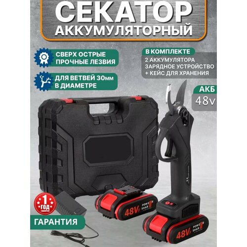 ���� ������� �������������� �������, �������������� �������������, ������, ������ �� 4999 ���