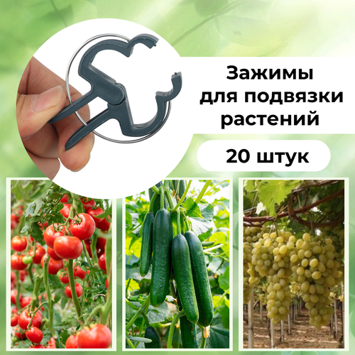    (20.)   , ,    ,   220 