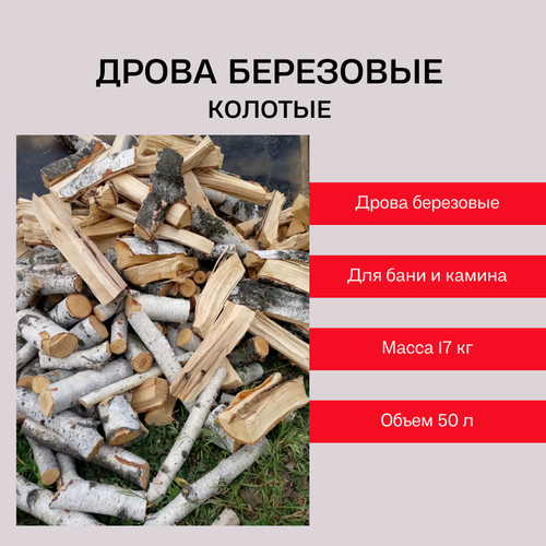 ���� ����� ��� ���� � ������ 17 ��, ������ �� 1700 ���