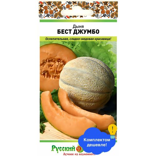 ���� ������ ������ ������� ������ 