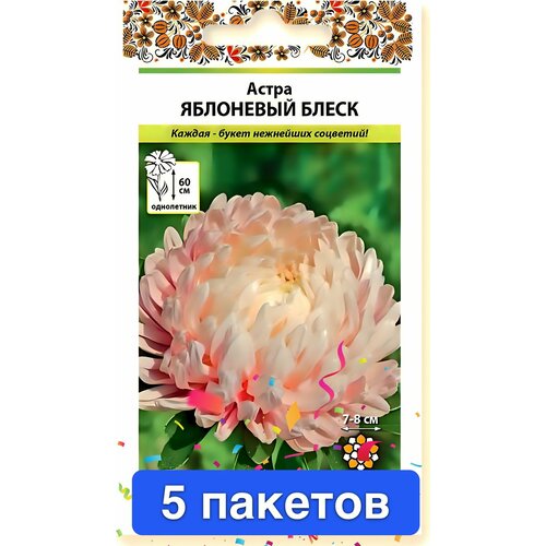 ���� ������ ������ ������� ������ 