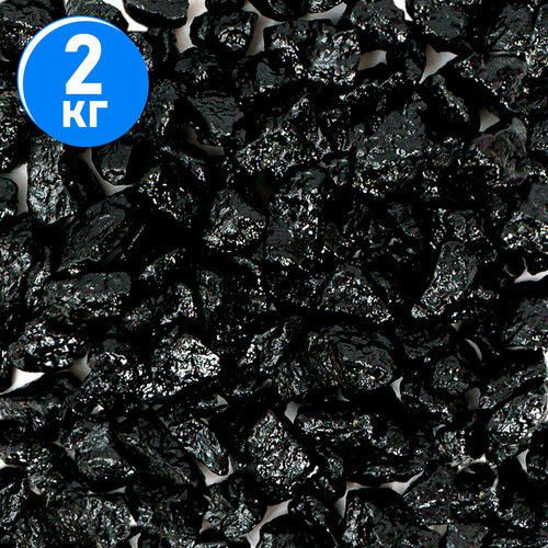 ���� ����������� ����� ��� ��������, ����������� � ��������, Zoo One, ��������� ��������, 