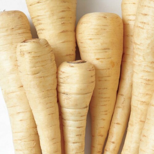 ���� ������ ���������� 