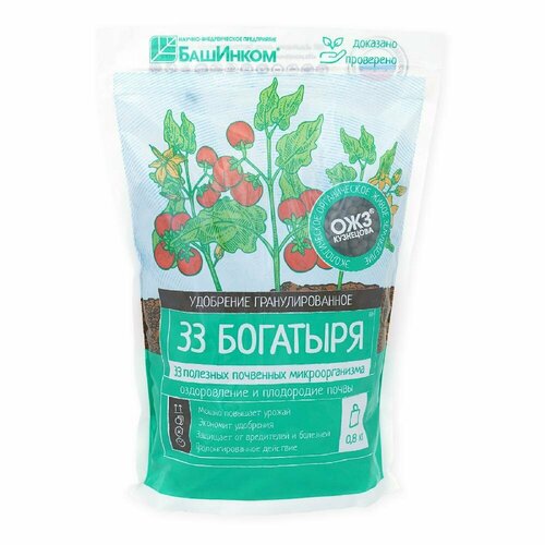 ���� ��������� 33 �������� ��������������� �������������������� ������������������ �������� 0,8 ��, ������ �� 520 ���