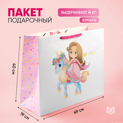 ���� ����� ���������� ���������� �������, 49 ? 40 ? 19 ��, ������ �� 304 ���