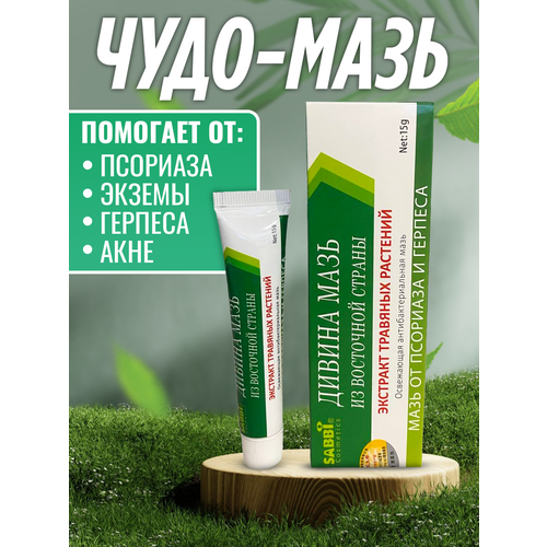 ���� ����-���� �� ������, ��������, ���������, ���� � ������ ������ 15 ��., ������ �� 282 ���