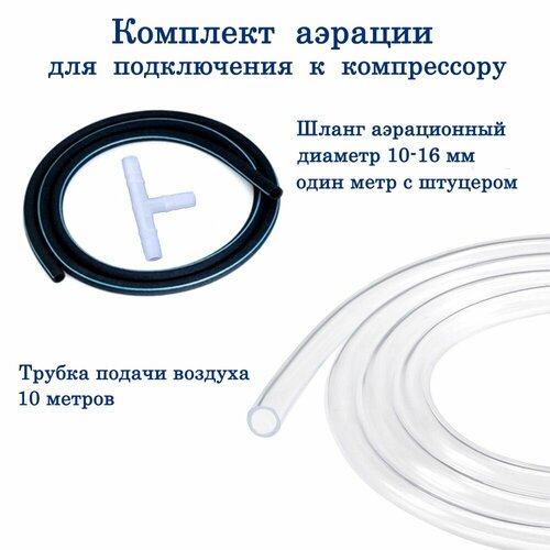 ���� ������� ����������� ��������� ��� �����, ��������� � �������, 100 ��, ������� 10-16 ��, ������ �� 1558 ���