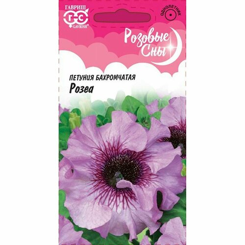 ���� ������ ������� ����� �������, ����������, (������) 10��, ������ �� 66 ���