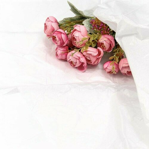 ���� ����������� ������, ����� (0,5*0,65 �) �����, 10 ��., ������ �� 494 ���