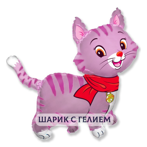 ���� ��������� ��� � ������ ��� ������� 