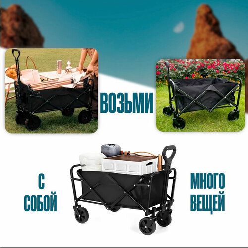 ���� ������� �������� ��� ��������, ������ �� 4554 ���