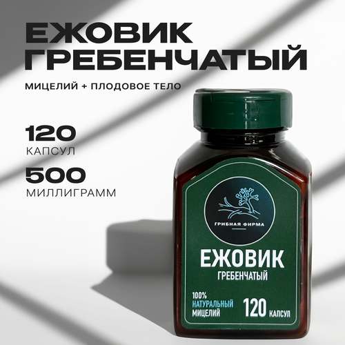 ���� ������ ����������� (������) � �������� 120 �� / ���� �� ����� / ��������� ������� / �����, ������ �� 1080 ���