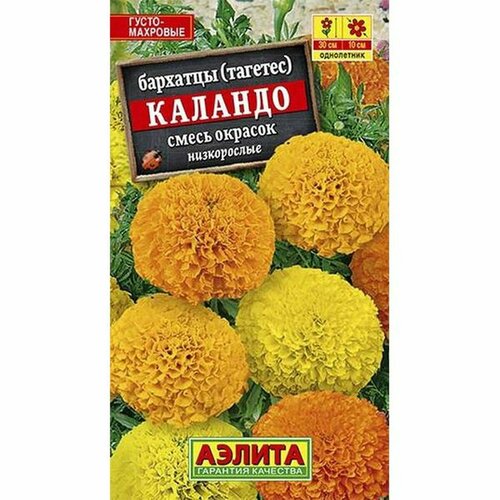 ���� ������ �������� �������, �����, ��. (����������) (������) 0,3�, ������ �� 44 ���