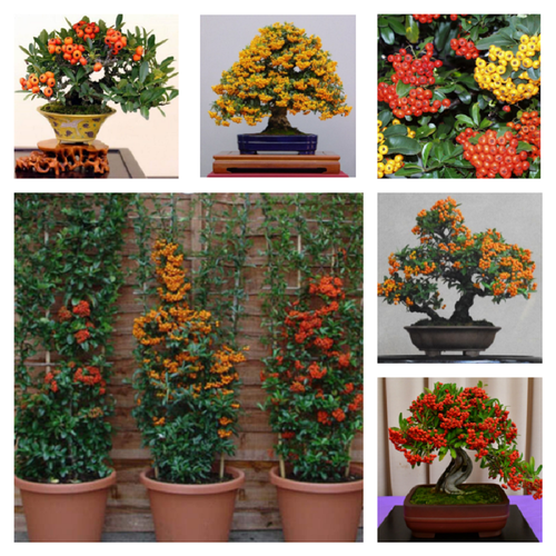 ���� ��������� ���� ������, ������, ������ �� 398 ���