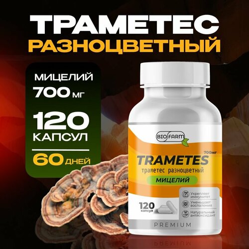 ���� �������� ������������ ������� 700��, �������� ����, ������ �� 782 ���