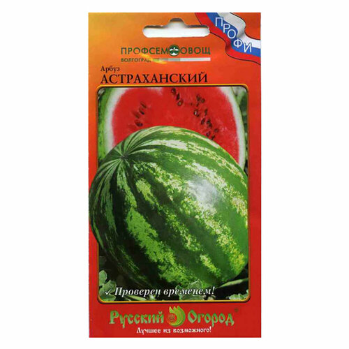 ���� ����� ������������ 1 �, 1 �������� � ������, ������ �� 646 ���