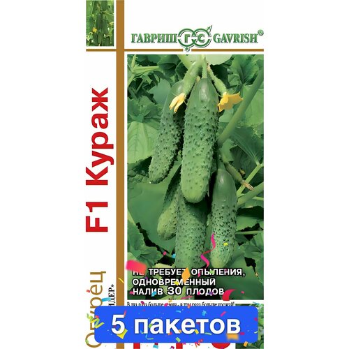 ���� ������ ������ ������ 