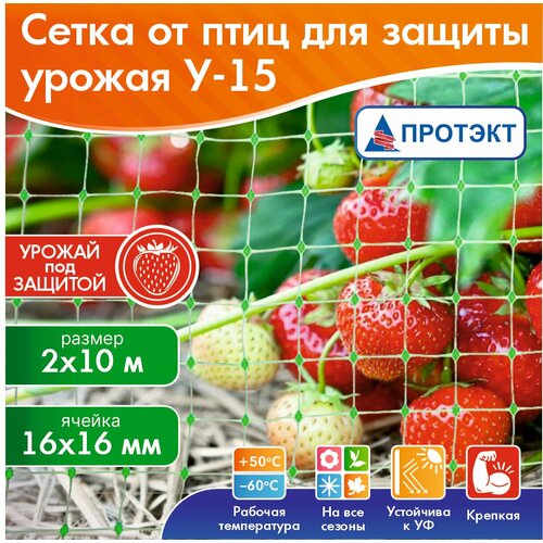 ���� ����� ��� ������ �� ���� ������� 2�10 � (20 �2), ����������� ������ 16�16 ��, ������ �� 719 ���