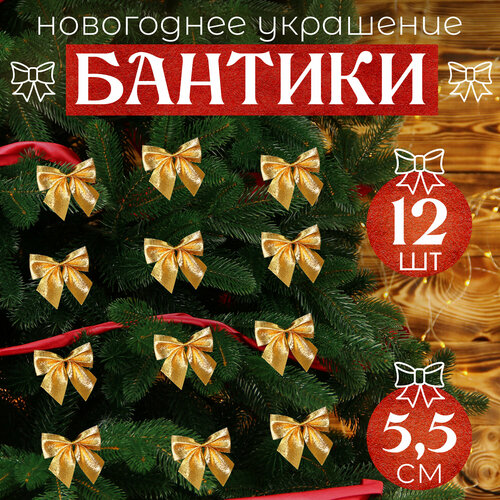 ���� ����� �� ���� ������ 12�� 5,5��, ������ �� 272 ���