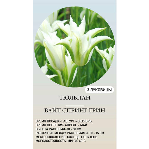 ���� ������� �������� ����������� ������, ������ �� 500 ���