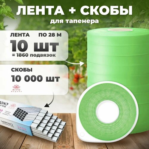 ���� ����� ��� �������� / ��������� / ����� ��� �������� ��� �������� �������� 10�� �� 28� + ����� 10.000 ��, ������ �� 729 ���