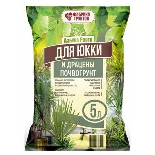 ���� ���������� 5� 