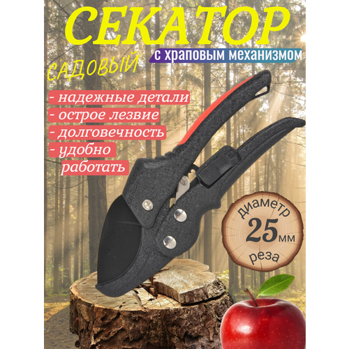 ���� ������� ������� � �������� ����������, ������ �� 600 ���