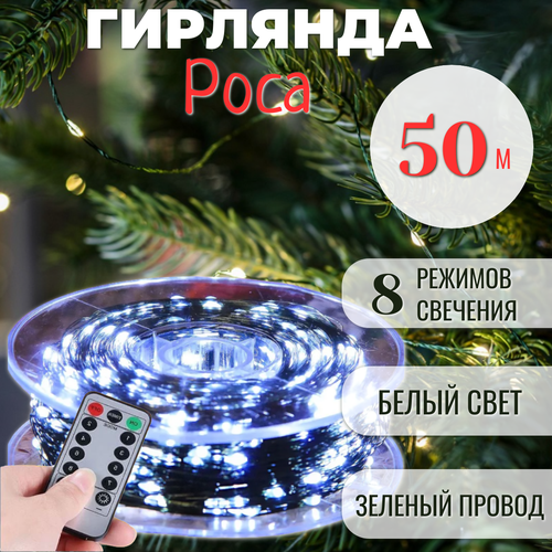 ���� �������� ���� � ������� � ������� ���������� 50 �, ������� ������, ����� ����, ������ �� 999 ���