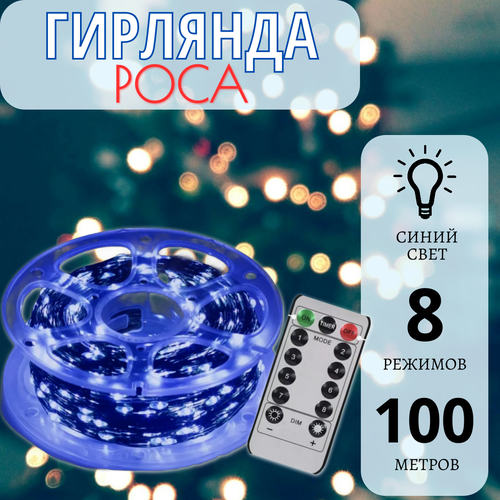 ���� �������� ���� � ������� 100 ������, ������� ������, ����� ����, ������ �� 1599 ���