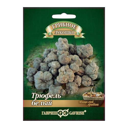 ���� ������� ������ ������ ������� ������� ������� ����� ���������� �� �������� ��������� 15 ��, ������ �� 513 ���